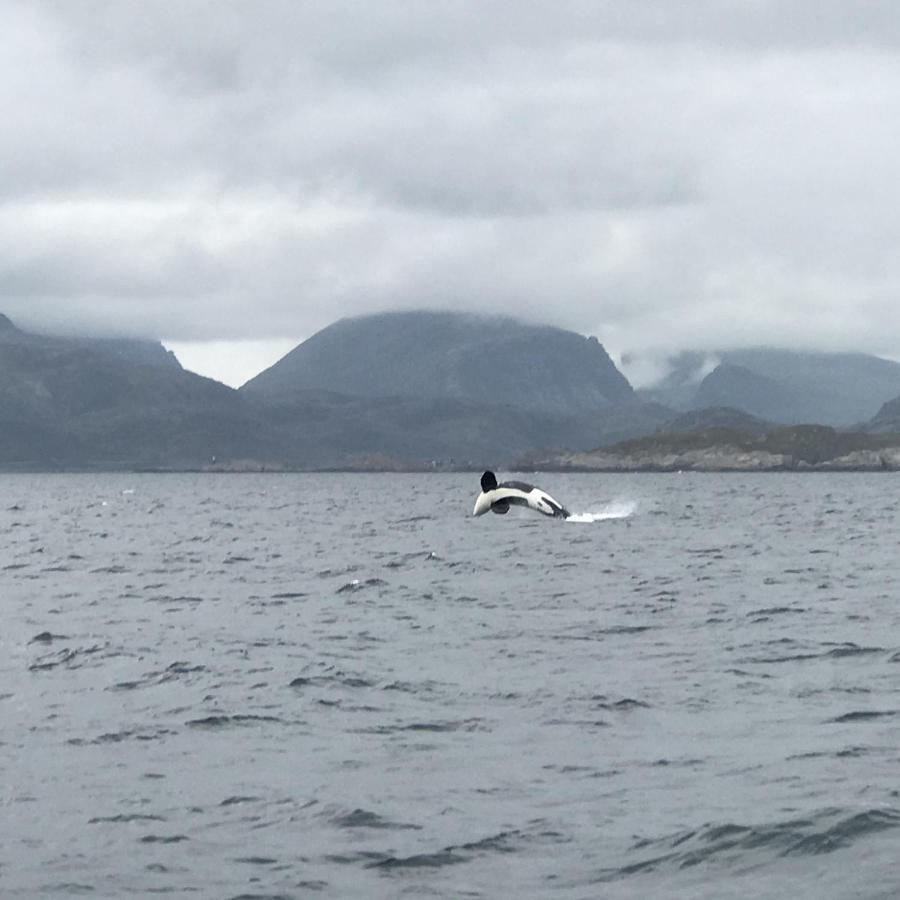 Fishermans Rorbu 1 - Lofoten 람베르그 외부 사진